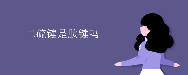 二硫键是肽键吗