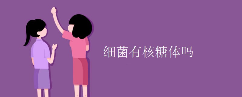 细菌有核糖体吗