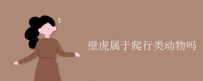 壁虎属于爬行类动物吗