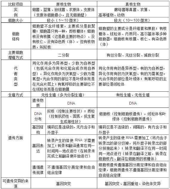 原核生物与真核生物的区别