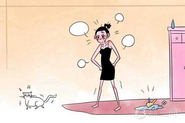 细胞核的功能及组成 细胞核的功能及组成