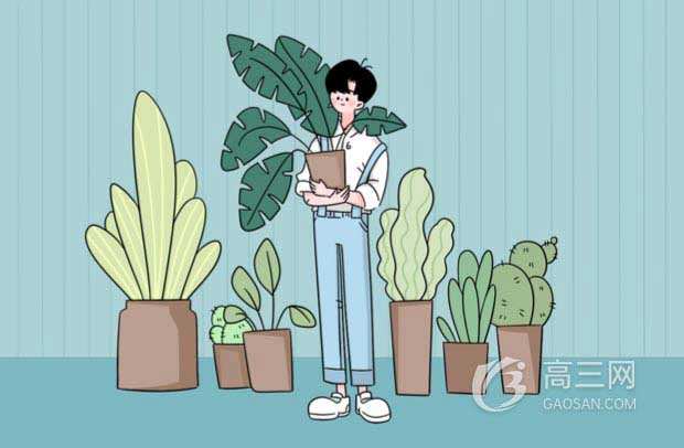 后出师表是谁写的 作者是谁