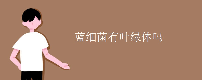 蓝细菌有叶绿体吗