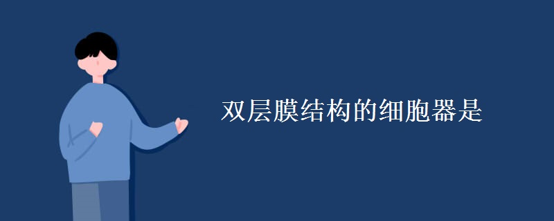 双层膜结构的细胞器是 双层膜结构的细胞器是