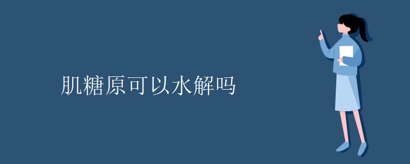 肌糖原可以水解吗