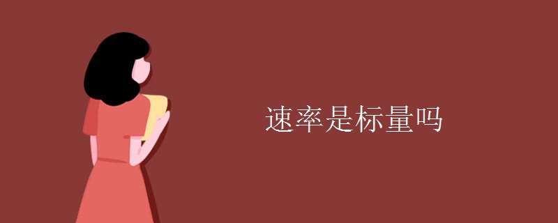 速率是标量吗 速率是标量吗