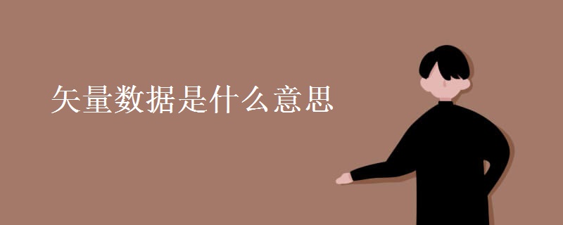 矢量数据是什么意思