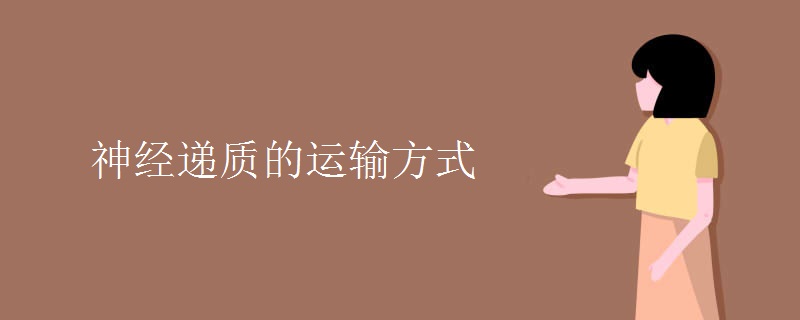 神经递质的运输方式