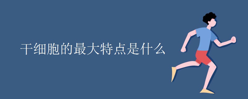 干细胞的最大特点是什么