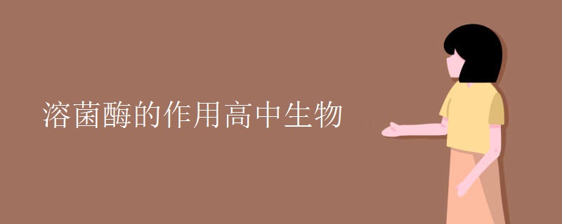 溶菌酶的作用高中生物