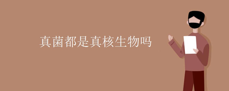 真菌都是真核生物吗