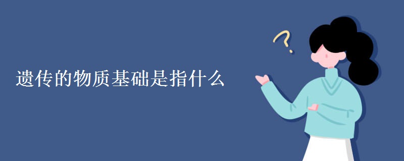 遗传的物质基础是指什么