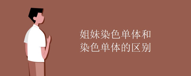姐妹染色单体和染色单体的区别