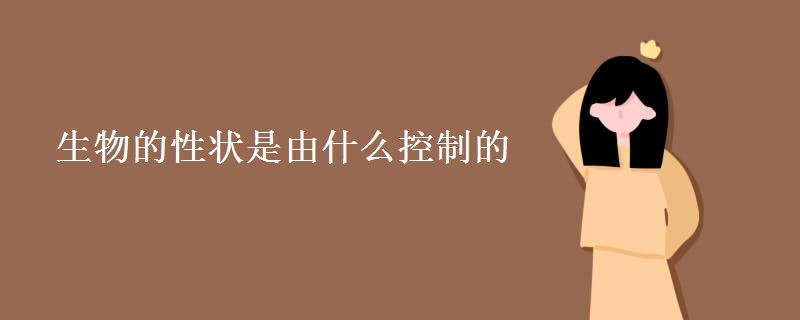 生物的性状是由什么控制的 生物的性状是由什么控制的
