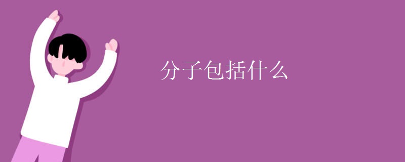 分子包括什么