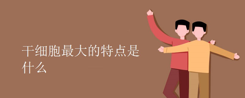 干细胞最大的特点是什么