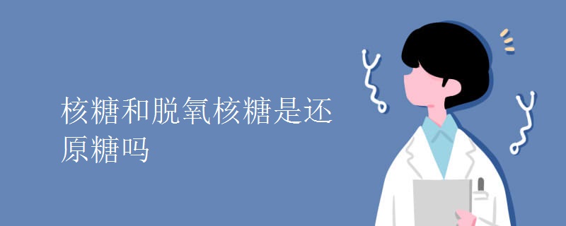 核糖和脱氧核糖是还原糖吗