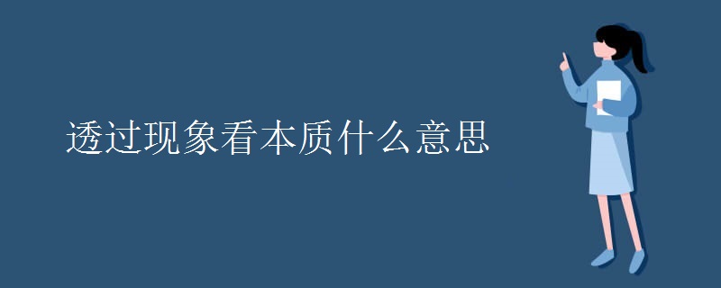 透过现象看本质什么意思