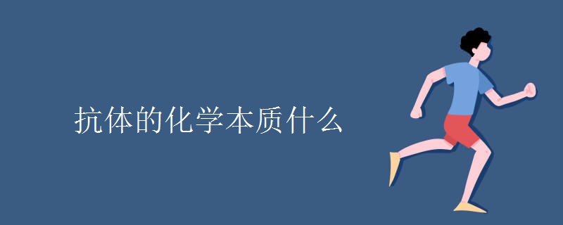 抗体的化学本质什么