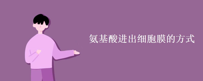 氨基酸进出细胞膜的方式