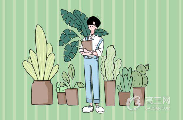 高一数学不好怎么提分