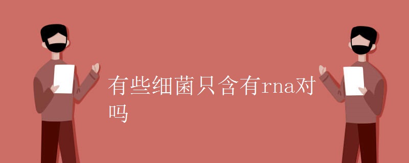 有些细菌只含有rna对吗