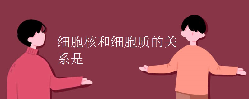 细胞核和细胞质的关系是