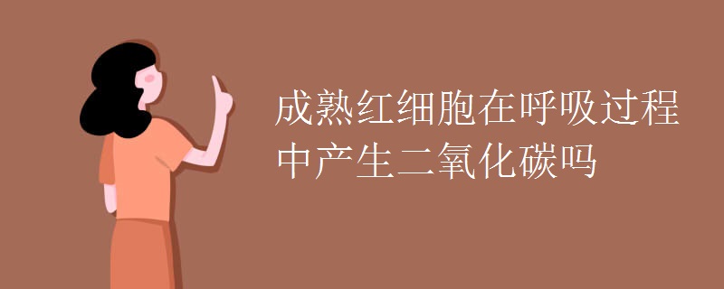 成熟红细胞在呼吸过程中产生二氧化碳吗 成熟红细胞在呼吸过程中产生二氧化碳吗