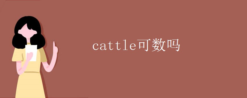 cattle可数吗