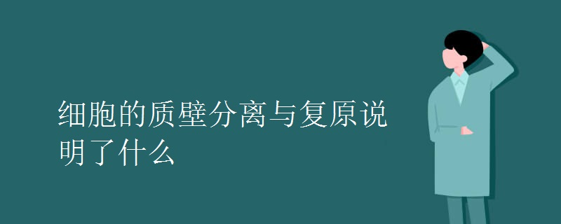细胞的质壁分离与复原说明了什么