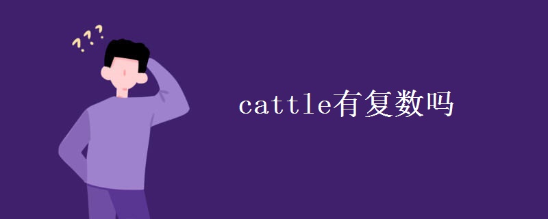 cattle有复数吗