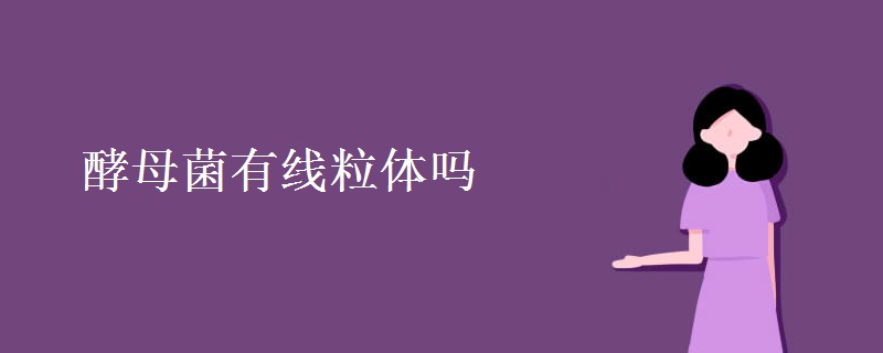 酵母菌有线粒体吗 酵母菌有线粒体吗