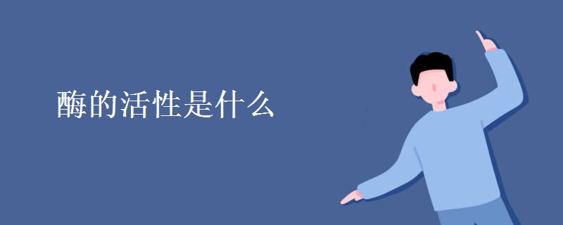 酶的活性是什么