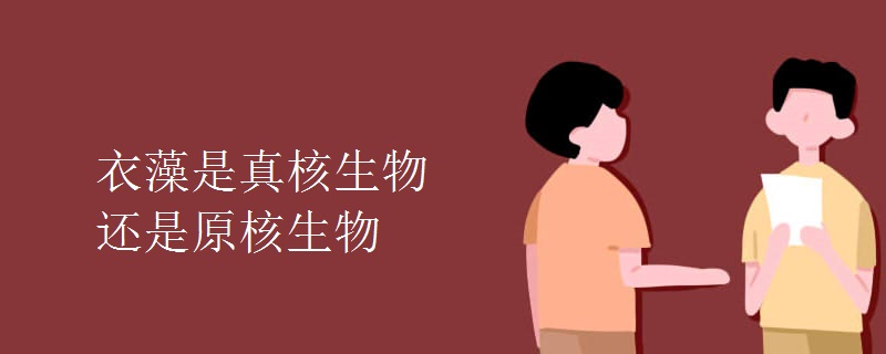 衣藻是真核生物还是原核生物