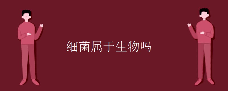 细菌属于生物吗