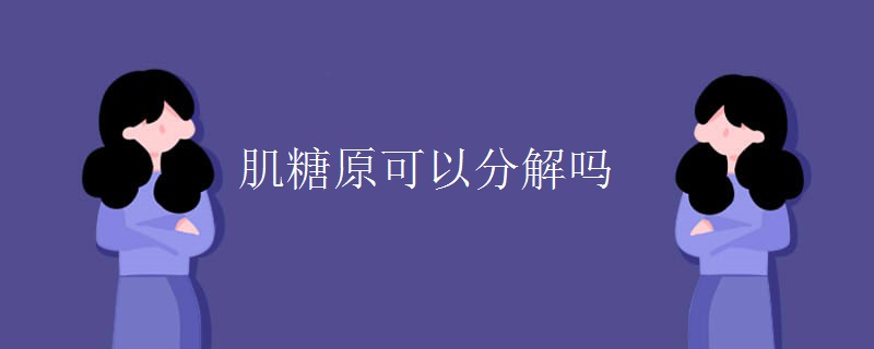 肌糖原可以分解吗