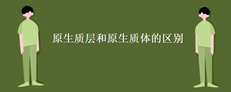 原生质层和原生质体的区别
