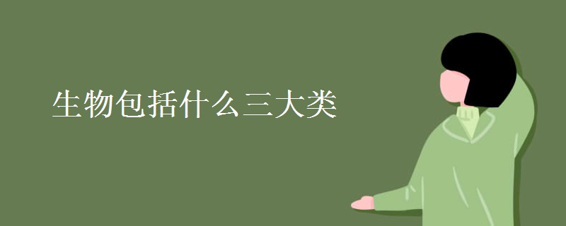 生物包括什么三大类