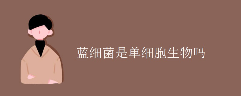 蓝细菌是单细胞生物吗