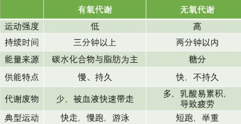 有氧运动和无氧运动的区别 有氧运动和无氧运动的区别