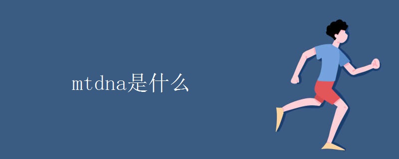 mtdna是什么