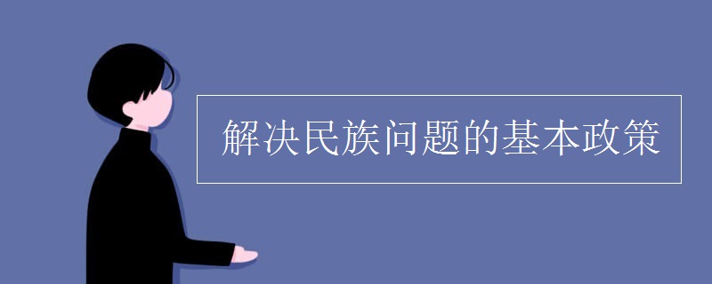 解决民族问题的基本政策