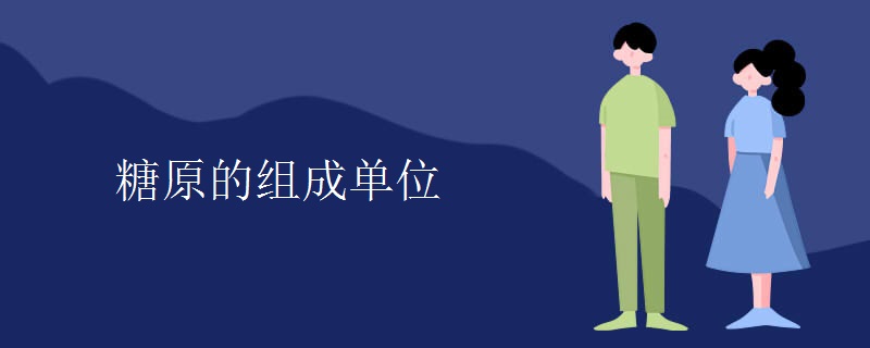 糖原的组成单位