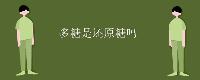 多糖是还原糖吗