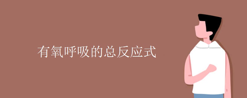 有氧呼吸的总反应式