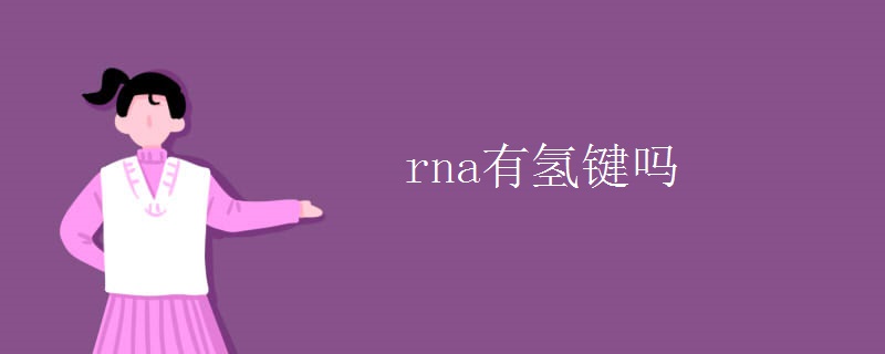 rna有氢键吗