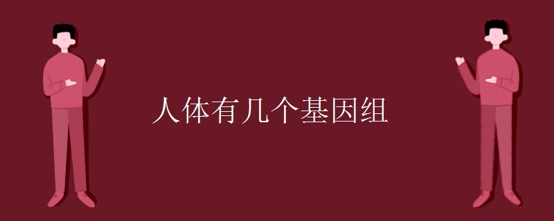 人体有几个基因组 人体有几个基因组