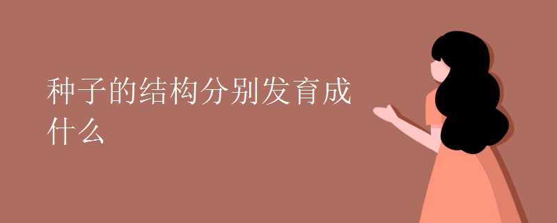 种子的结构分别发育成什么