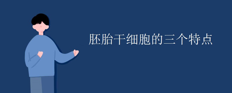 胚胎干细胞的三个特点