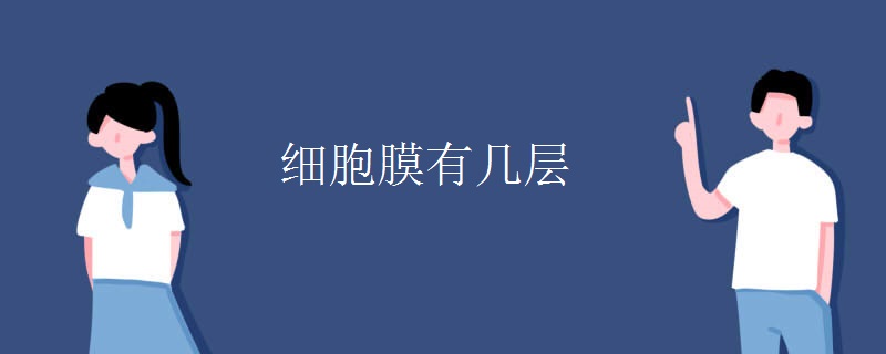 细胞膜有几层